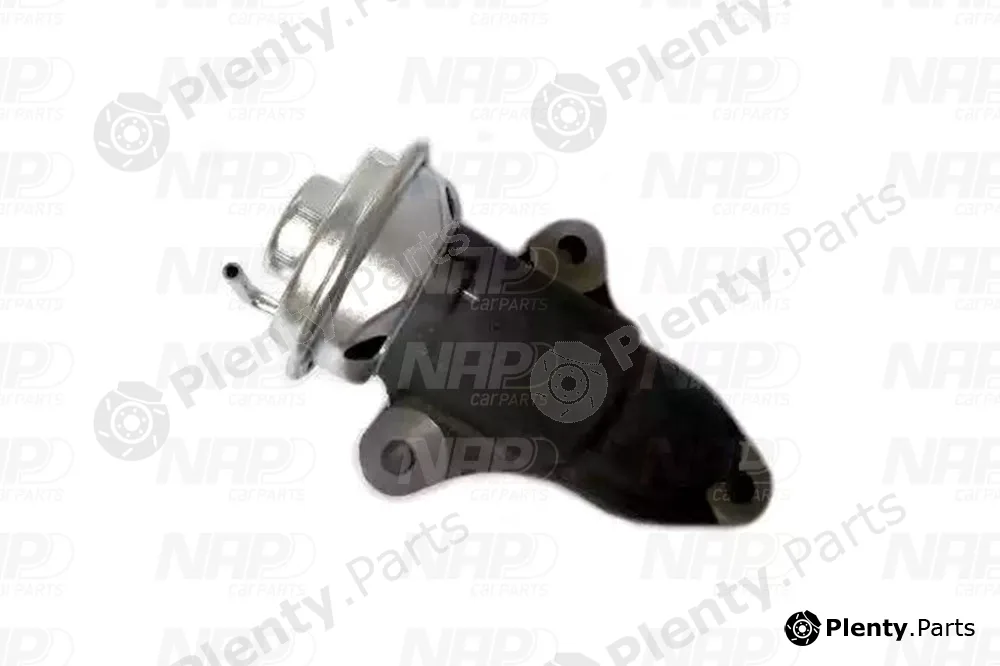 NAP CAV10169 — EGR Valve