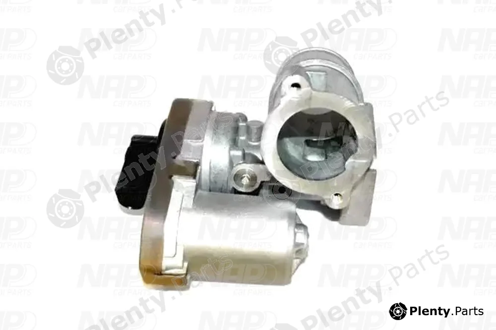 NAP CAV10069 — EGR Valve