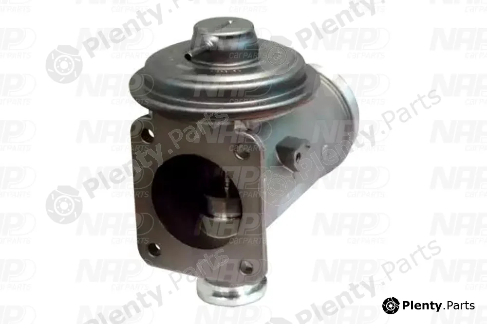 NAP CAV10131 — EGR Valve
