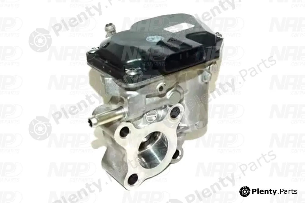NAP CAV10120 — EGR Valve