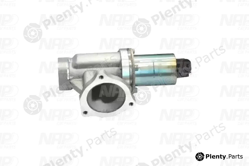 NAP CAV10066 — EGR Valve