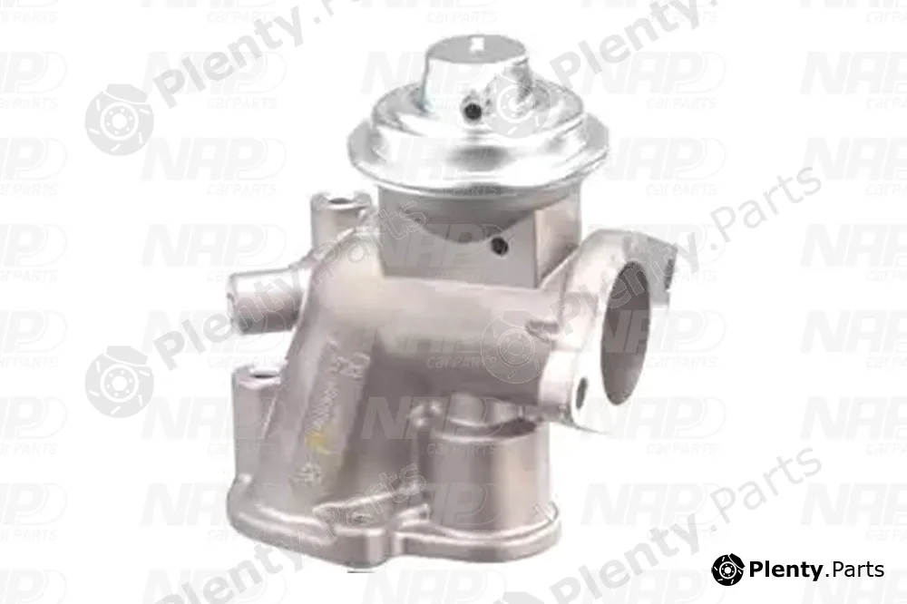 NAP CAV10136 — EGR Valve