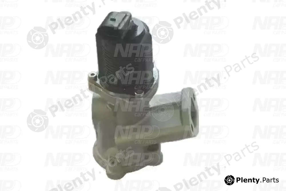 NAP CAV10054 — EGR Valve
