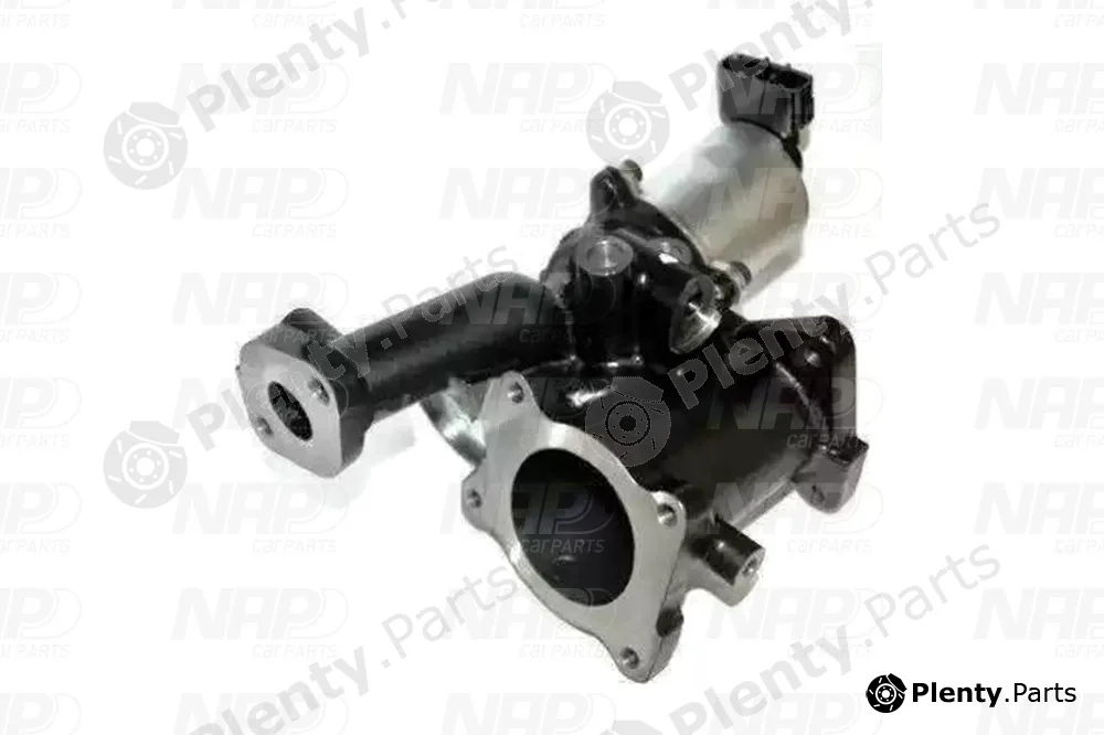 NAP CAV10112 — EGR Valve