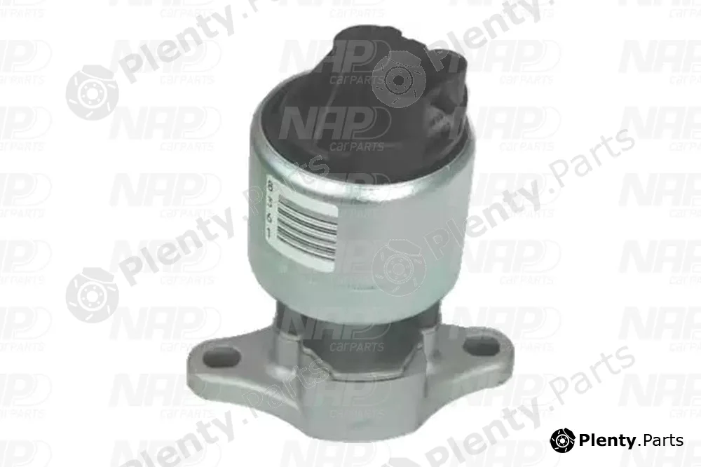 NAP CAV10004 — EGR Valve