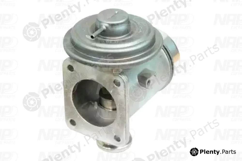 NAP CAV10132 — EGR Valve
