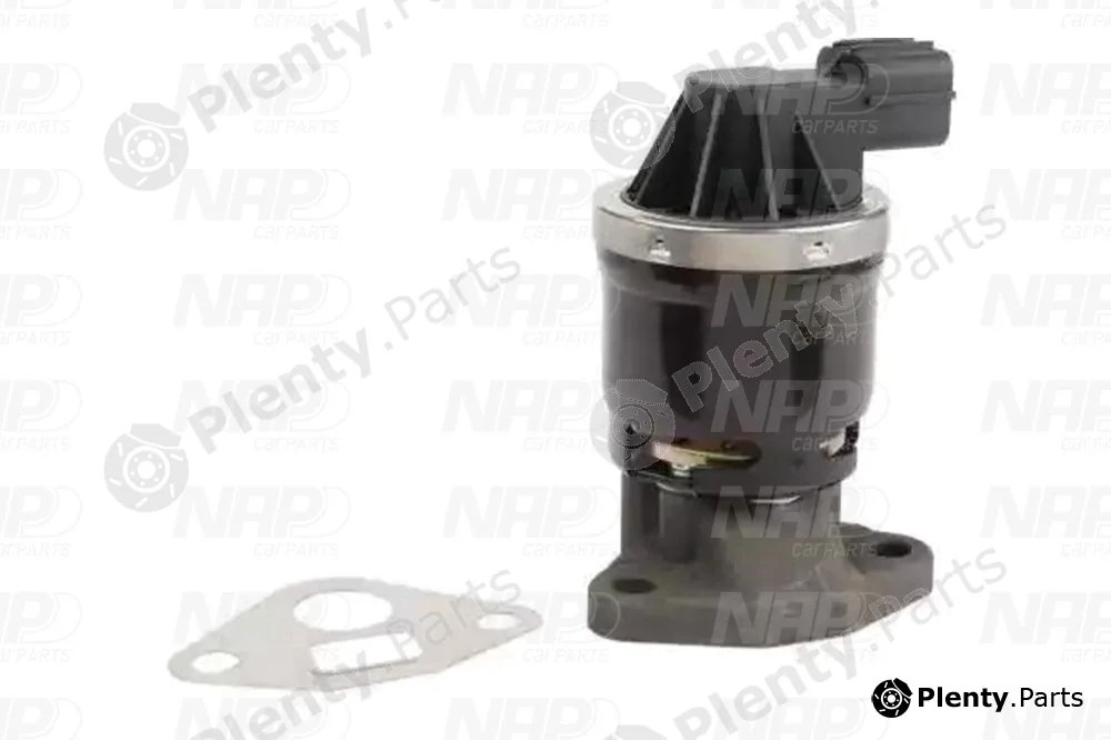 NAP CAV10106 — EGR Valve