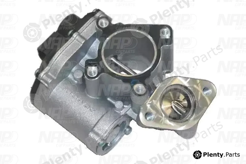 NAP CAV10063 — EGR Valve