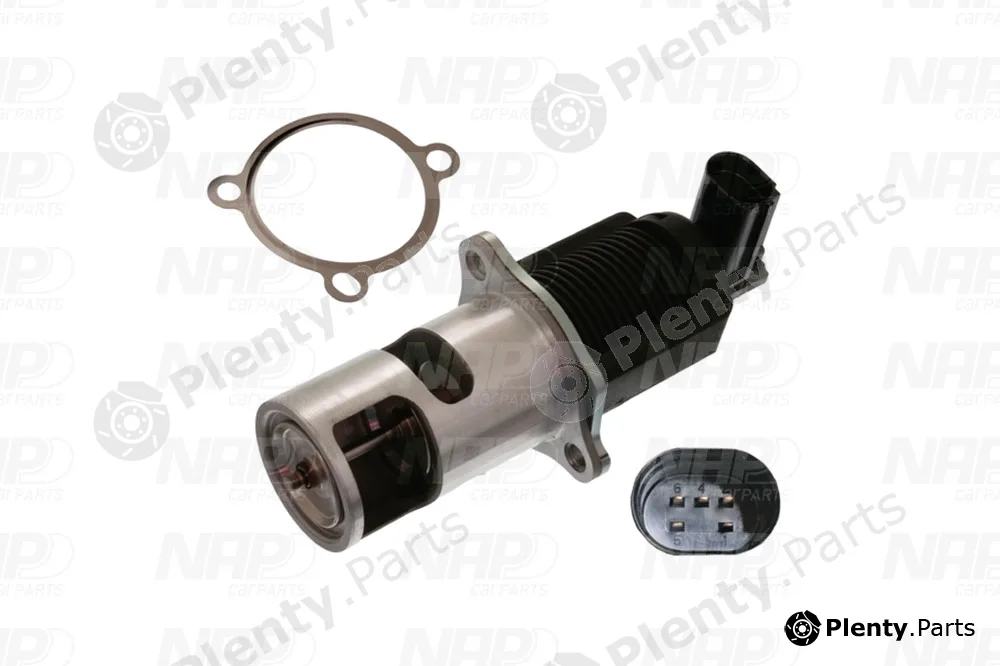 NAP CAV10032 — EGR Valve