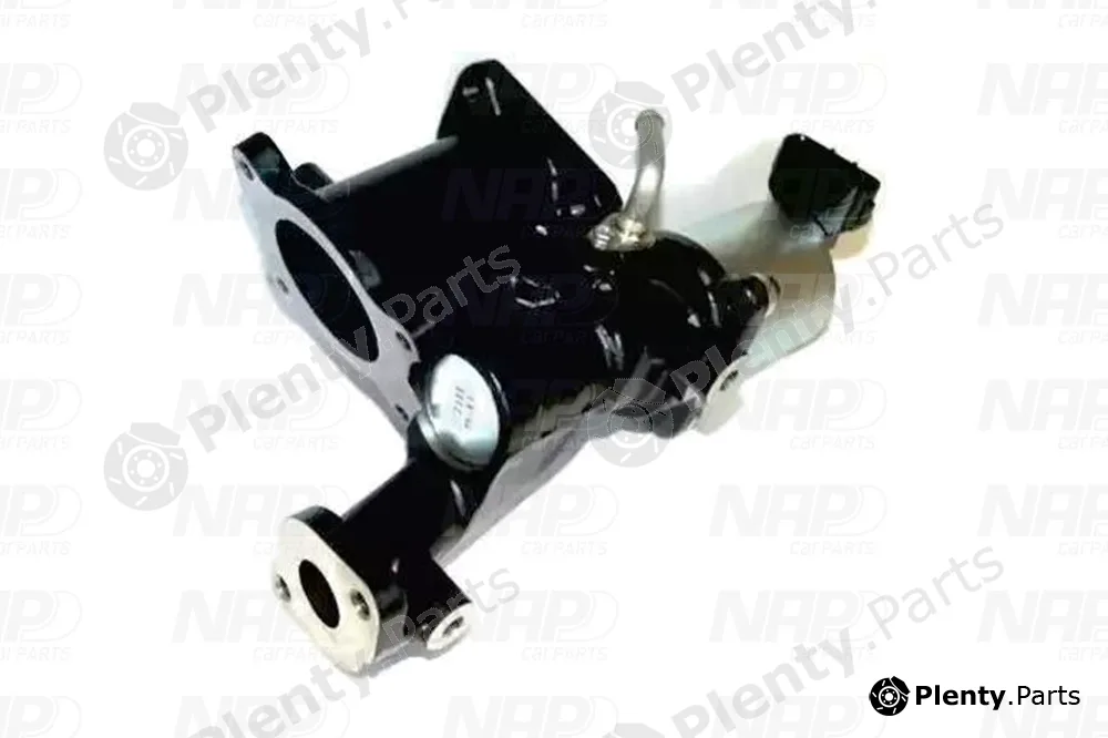 NAP CAV10111 — EGR Valve