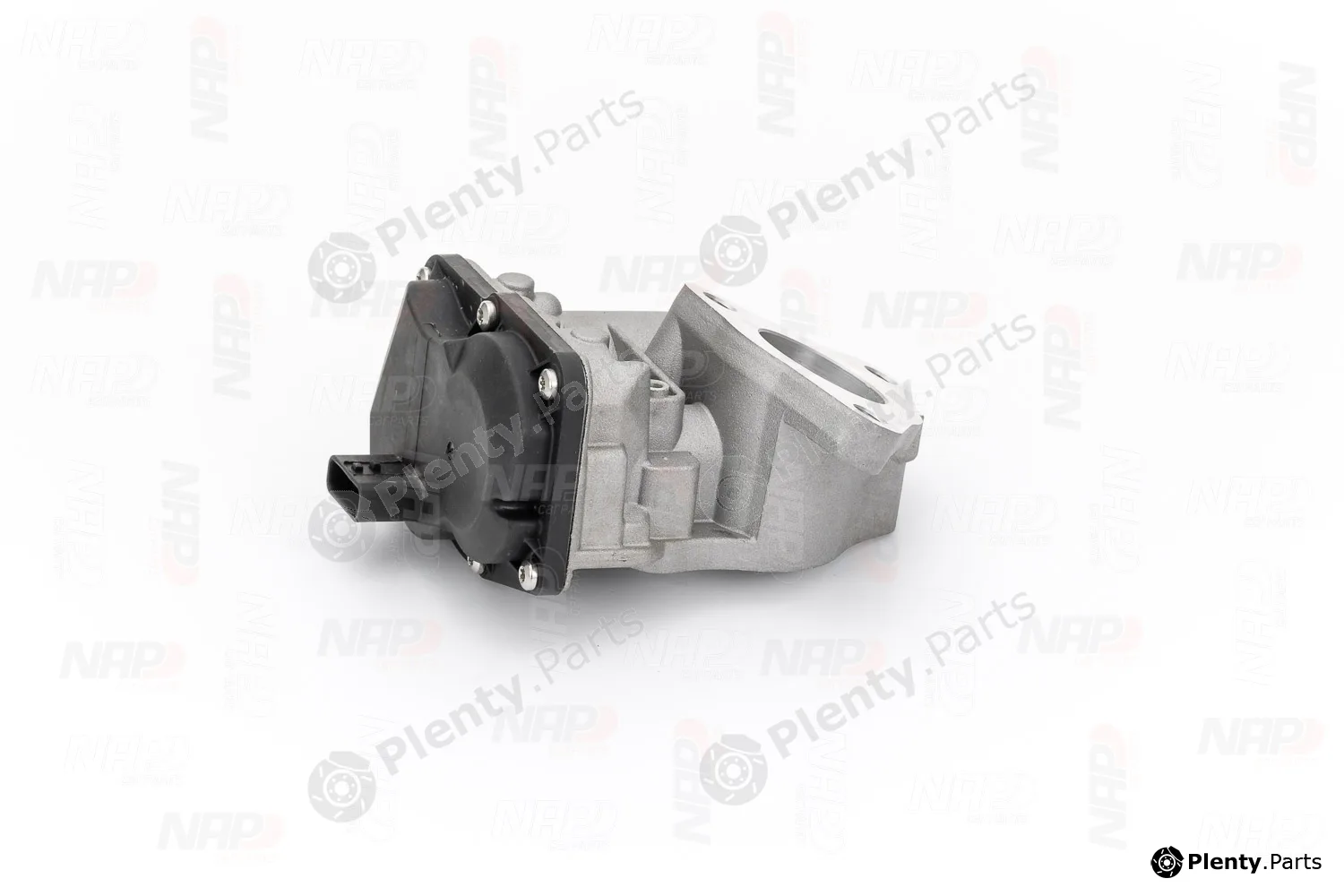 NAP CAV10179 — EGR Valve