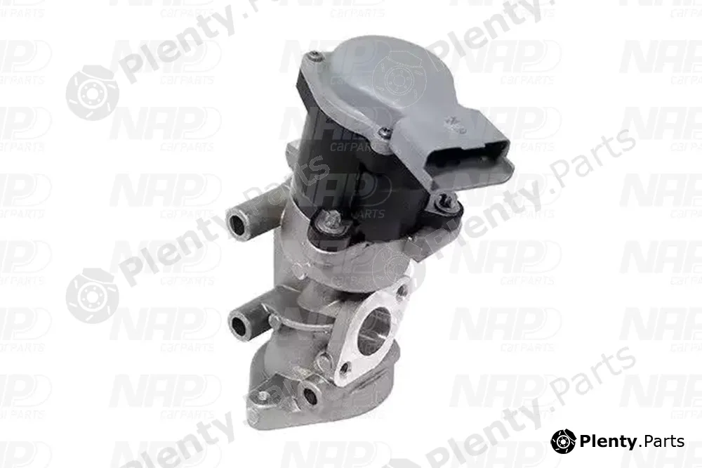 NAP CAV10075 — EGR Valve