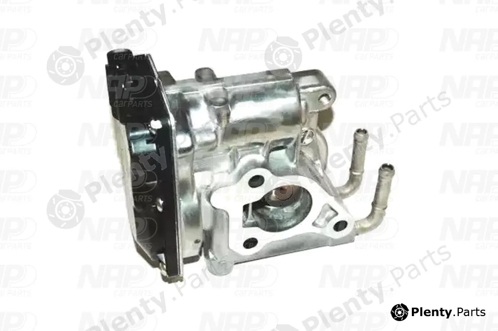 NAP CAV10121 — EGR Valve