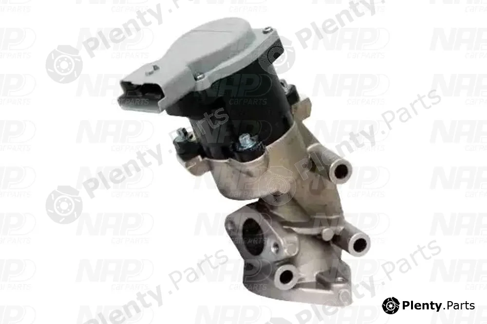 NAP CAV10074 — EGR Valve