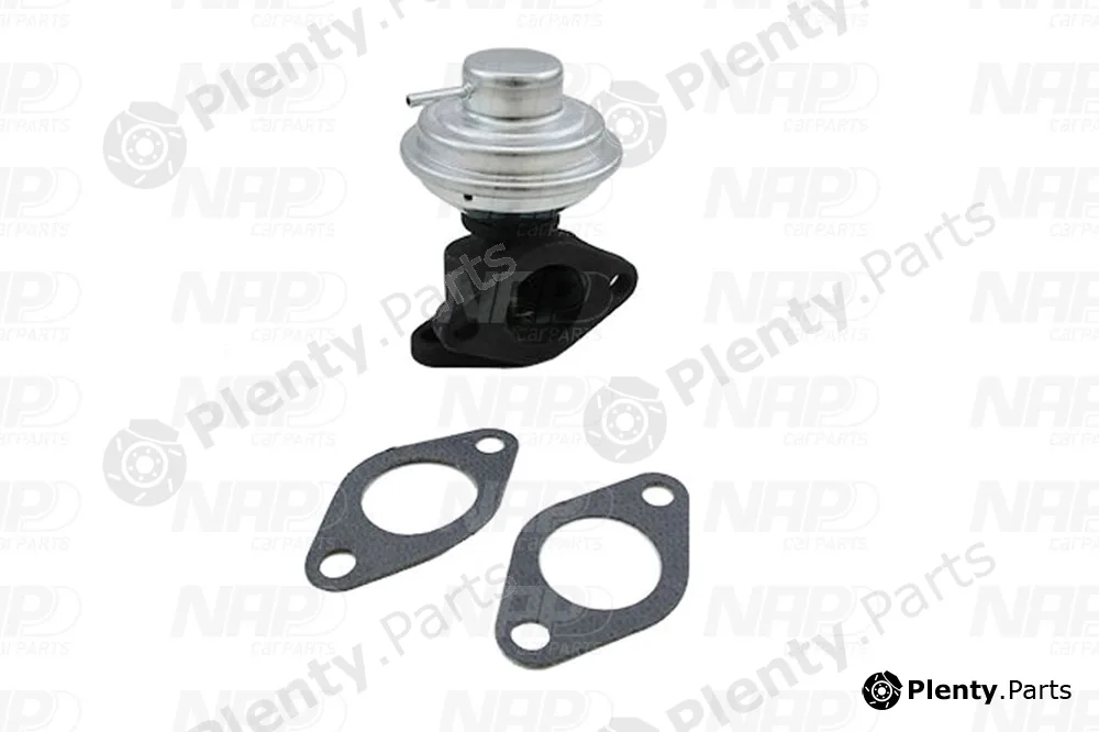 NAP CAV10013 — EGR Valve