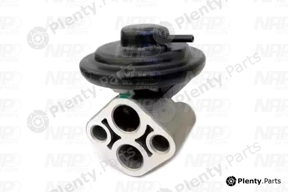NAP CAV10028 — EGR Valve