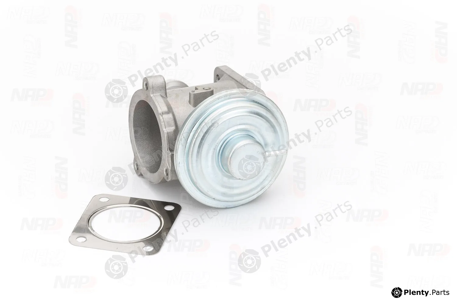 NAP CAV10134 — EGR Valve