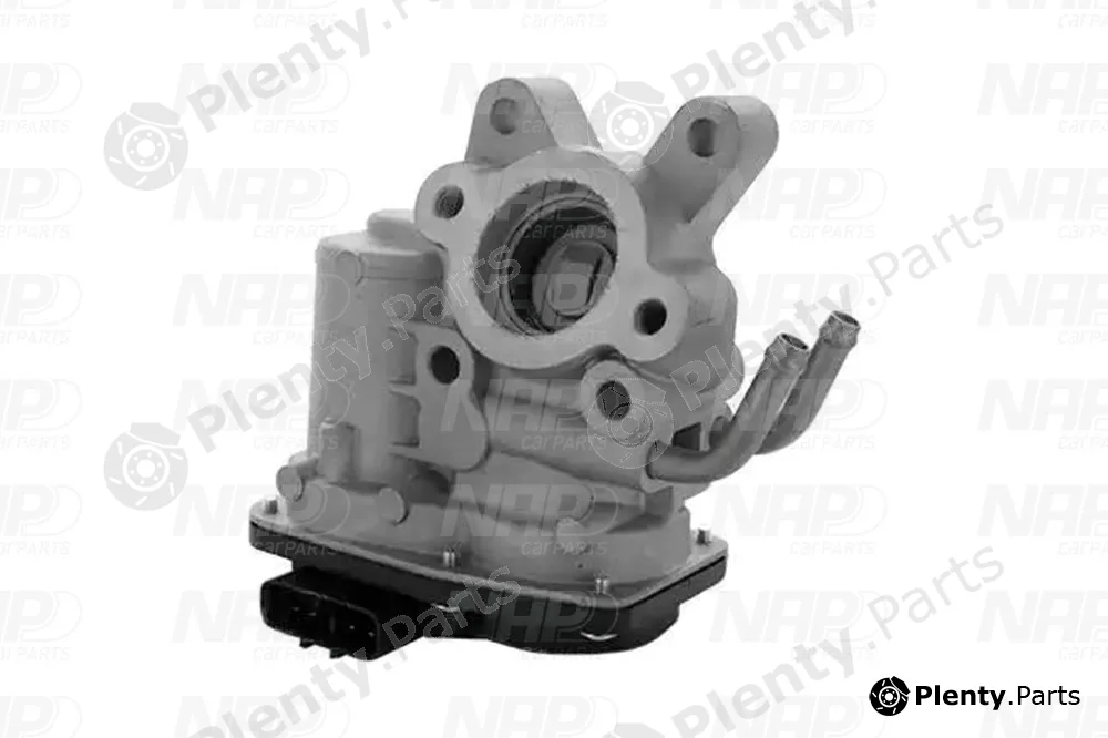 NAP CAV10079 — EGR Valve