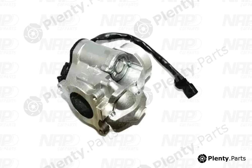 NAP CAV10141 — EGR Valve