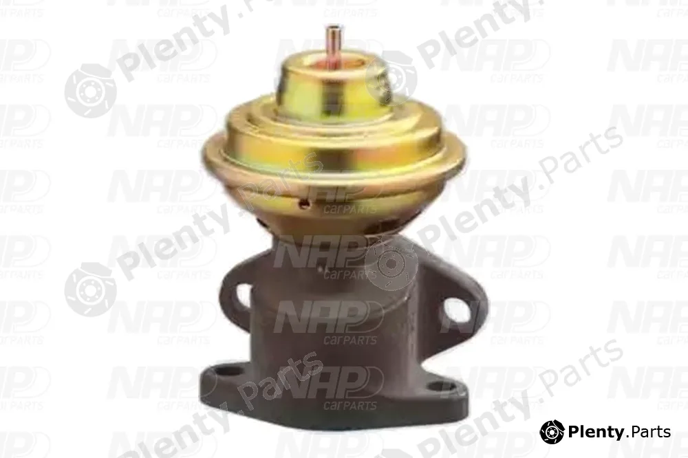 NAP CAV10010 — EGR Valve