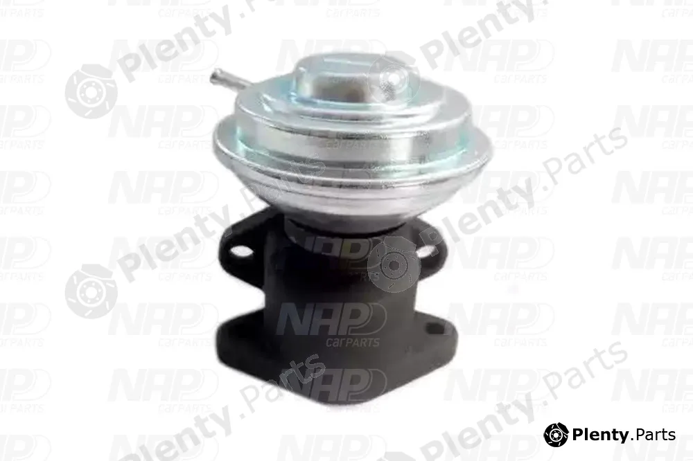 NAP CAV10014 — EGR Valve