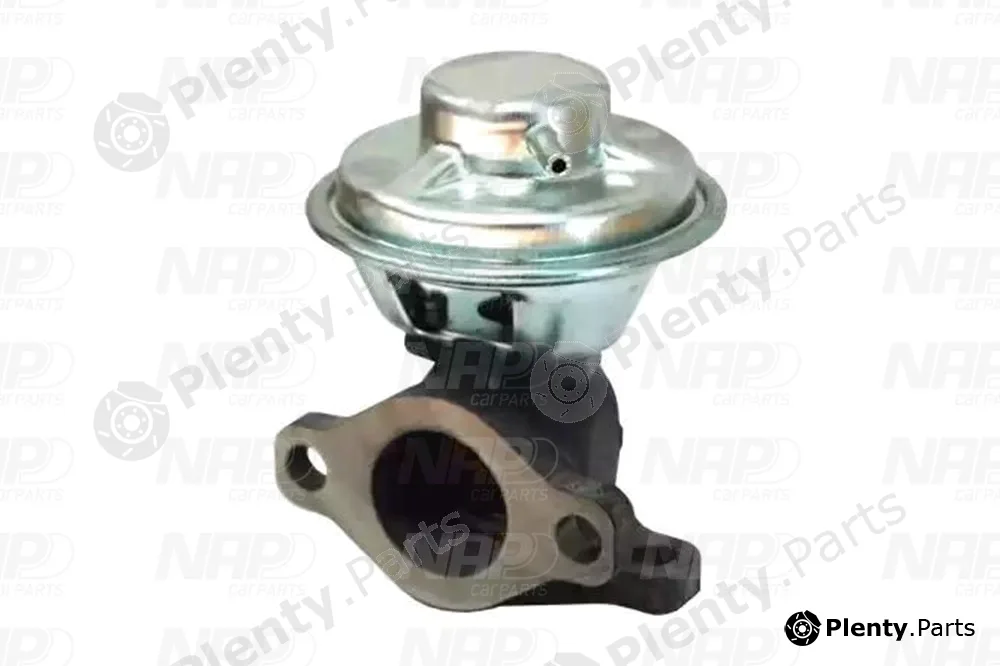 NAP CAV10151 — EGR Valve