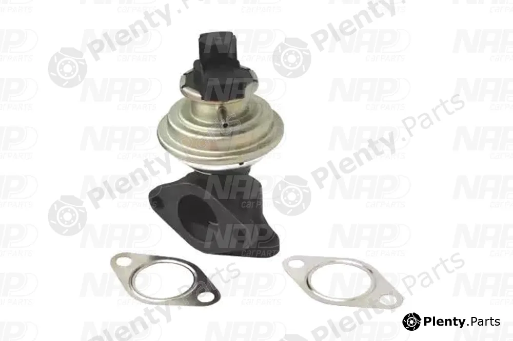 NAP CAV10011 — EGR Valve