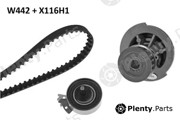 MGA 442K1 — Water Pump & Timing Belt Kit