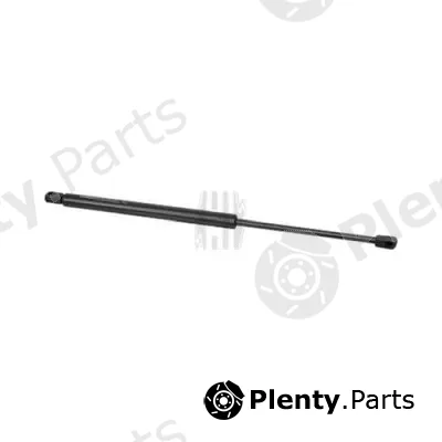 Diederichs 9225500 — Gas Spring, boot/cargo area