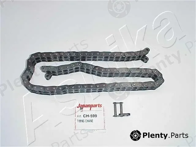 Ashika 41-05-599 — Timing Chain
