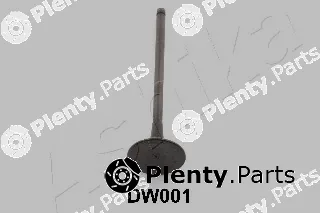 Ashika 15DW001 — Exhaust Valve