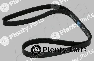 Ashika 112-6PK1600 — V-Ribbed Belt