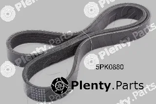 Ashika 112-5PK880 — V-Ribbed Belt