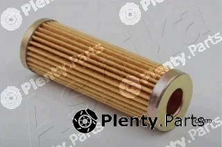 Ashika 30-ECO079 — Fuel Filter