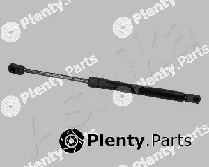 Ashika ZSA90013 — Gas Spring, boot/cargo area