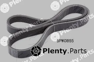 Ashika 112-5PK855 — V-Ribbed Belt
