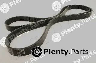 Ashika 112-6PK1875 — V-Ribbed Belt