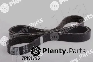 Ashika 112-7PK1795 — V-Ribbed Belt