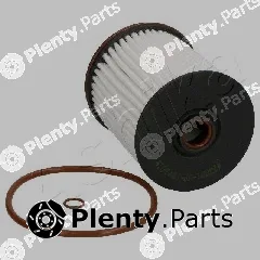 Ashika 30-ECO098 — Fuel Filter