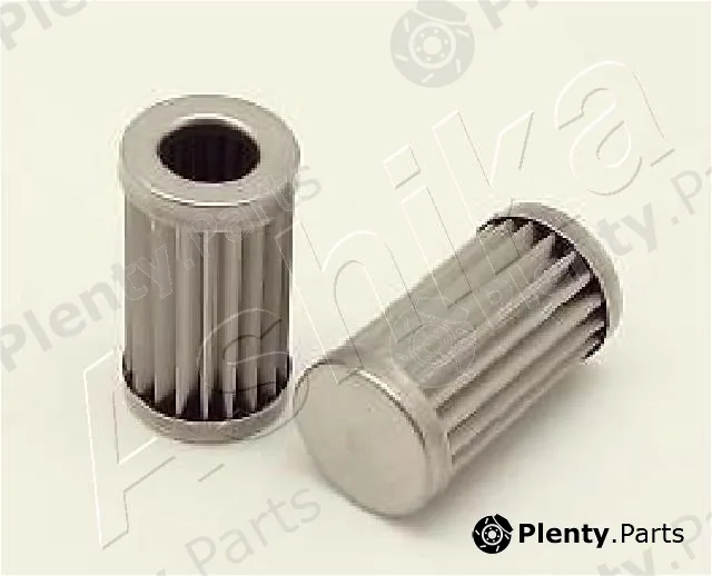 Ashika 10-GAS55S — Fuel Filter