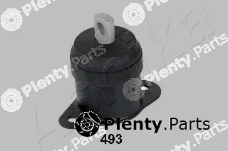 Ashika GOM-493 — Mounting, engine