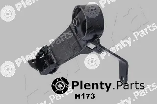 Ashika GOM-H173 — Mounting, engine