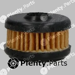 Ashika 10-GAS20S — Fuel Filter