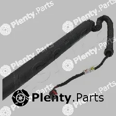 Ashika ZA-0106 — Gas Spring, boot/cargo area