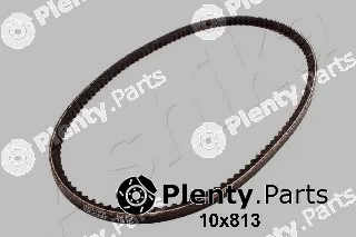 Ashika 109-10X813 — V-Belt