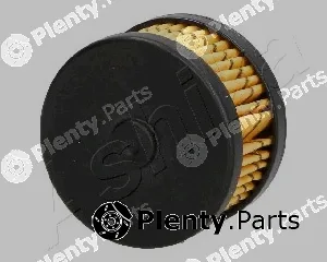 Ashika 10-GAS22S — Fuel Filter
