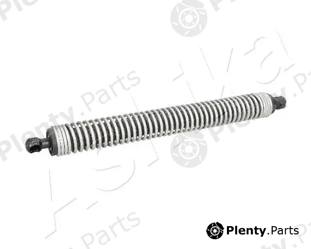 Ashika ZSA01099 — Gas Spring, boot/cargo area