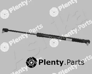 Ashika ZSA00042 — Gas Spring, boot/cargo area