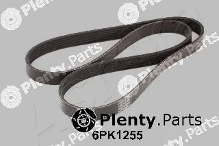 Ashika 112-6PK1255 — V-Ribbed Belt