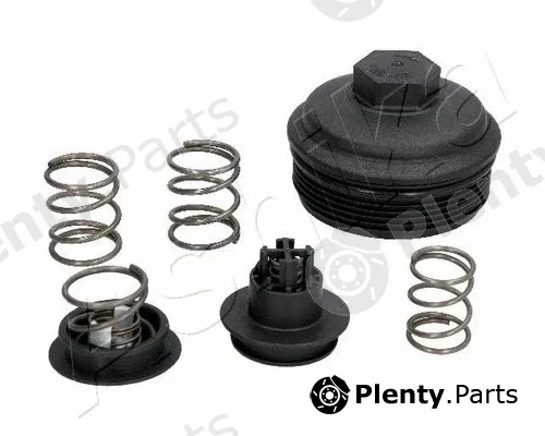 Ashika 160-00-028 — Cap, oil filter housing